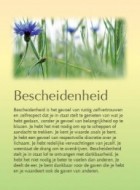 Bescheidenheid