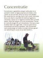 Concentratie