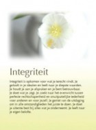 Integriteit