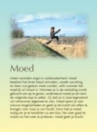 Moed