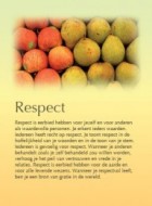 Respect