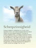 Scherpzinnigheid