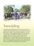 Toewijding