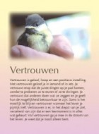 Vertrouwen