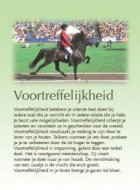 Voortreffelijkheid