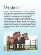 Wijsheid