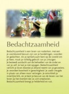 Bedachtzaamheid