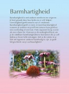 Barmhartigheid