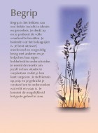 Begrip