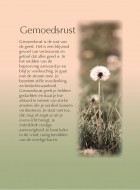 Gemoedsrust