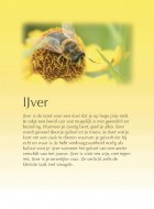 IJver