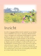 Inzicht