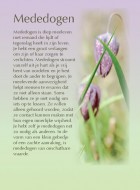 Mededogen