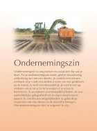 Ondernemingszin