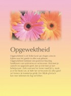 Opgewektheid