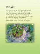 Passie