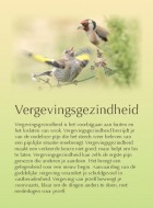 Vergevingsgezindheid