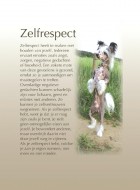 Zelfrespect